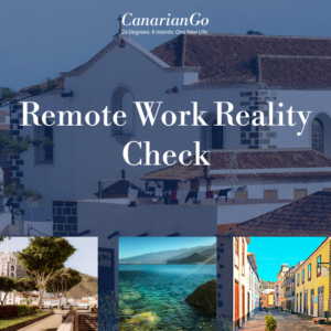 Remote Work Reality Check