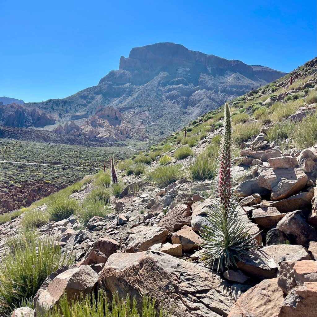 Teide National Park hiking guide