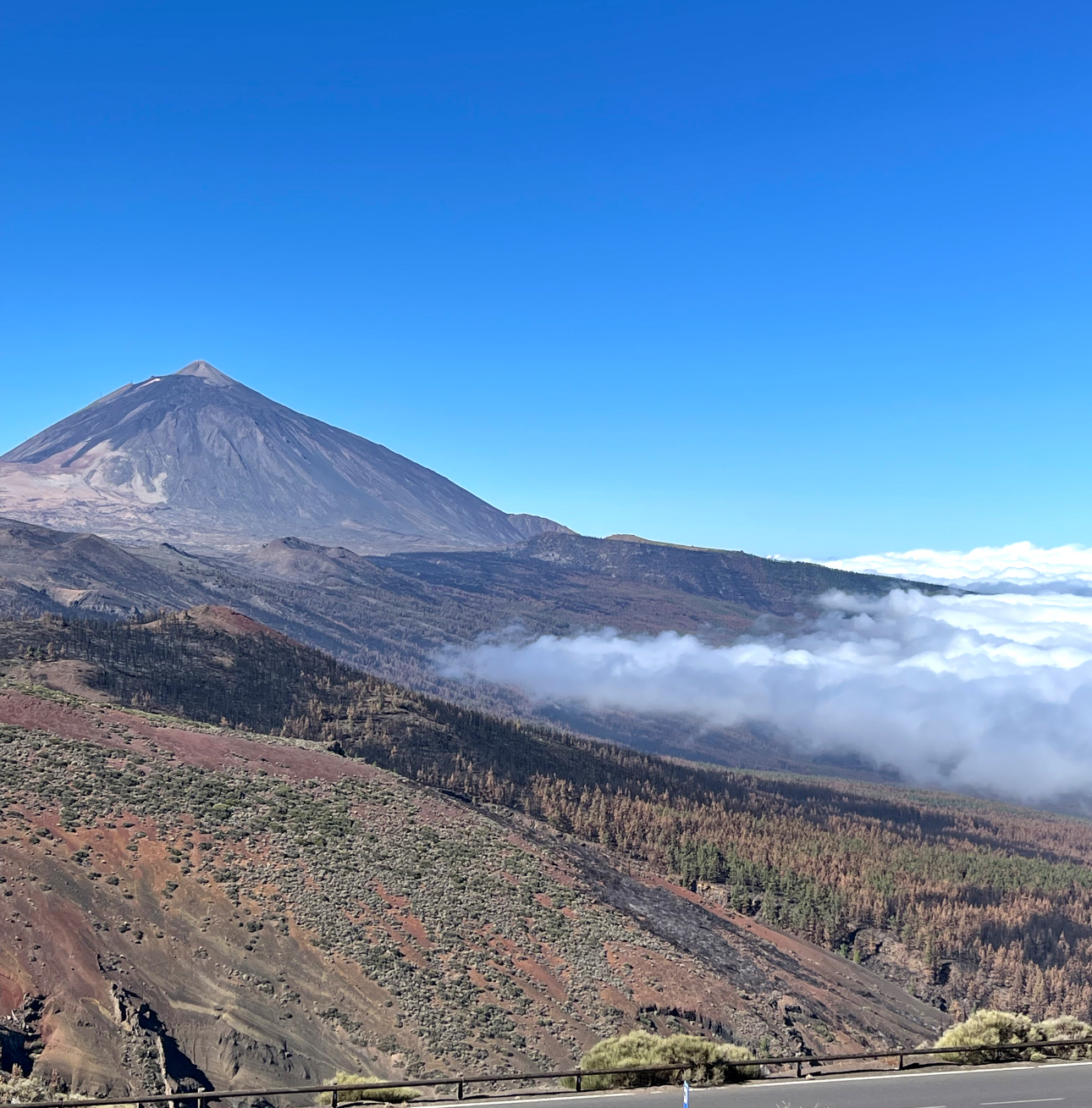 Teide National Park hiking guide